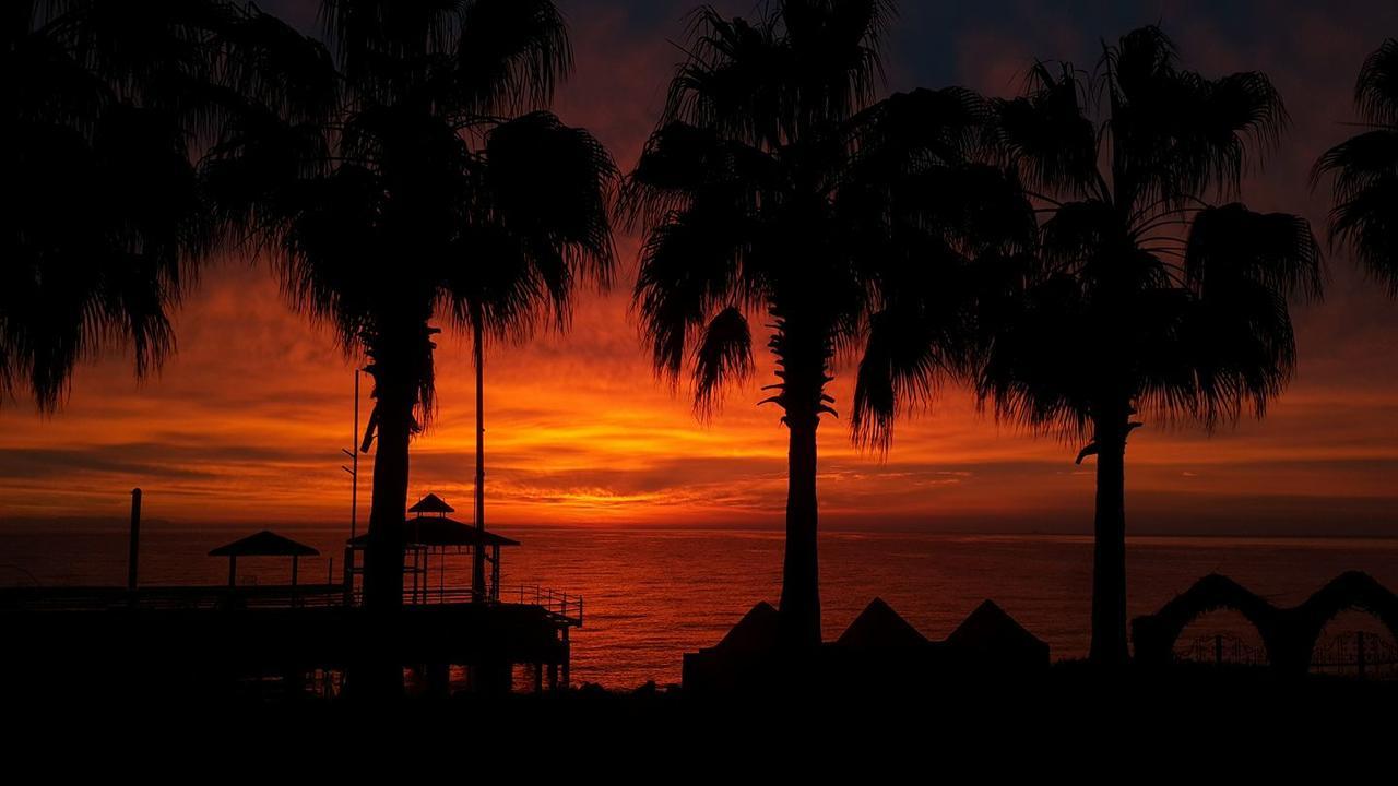 Seagull Hotel Beldibi (Kemer) Exterior foto