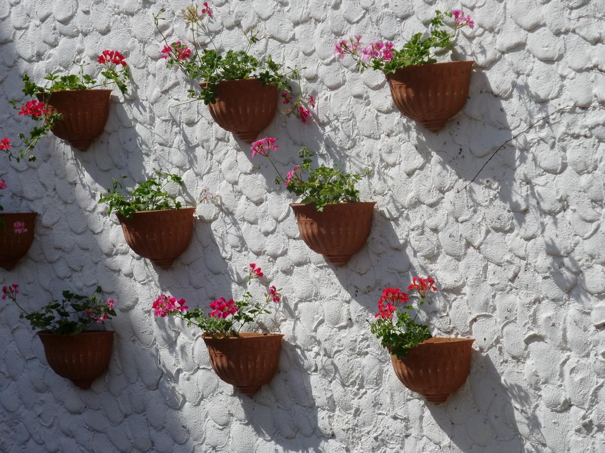 Seagull Hotel Beldibi (Kemer) Exterior foto